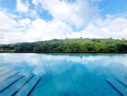 Midwood (D23), Condominium #460382371